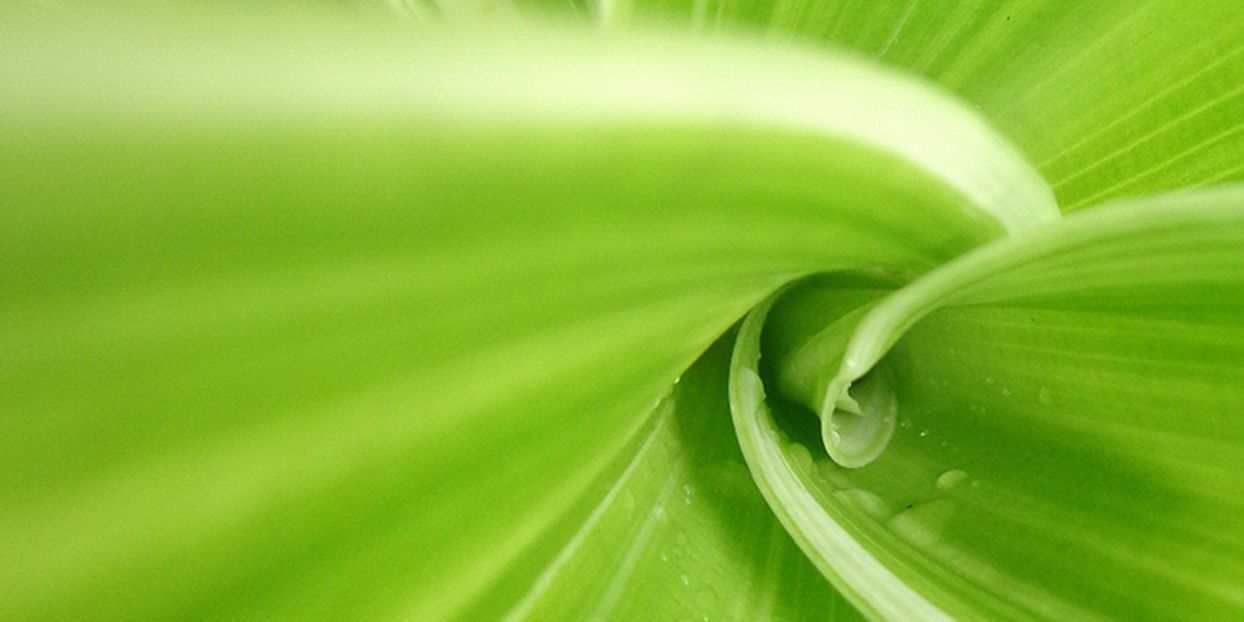 Headerbild